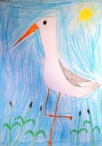 Kapuscinský Niko.jpg